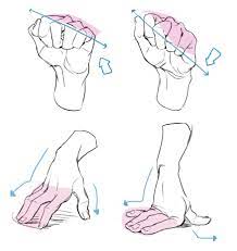 手のジェスチャーと手の簡素化！ 解剖学レリイサの描き方 #1 by Leriisa - お絵かきのコツ | CLIP STUDIO TIPS