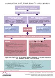 Oral Anticoagulation Overview