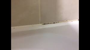 silicone sealant in bathroom shower