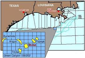 Brutus Oil And Gas Field Project Offshore Technology Oil