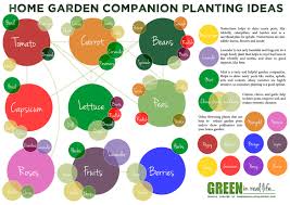 Companion Planting Chart For Vegetables And Herbs Www