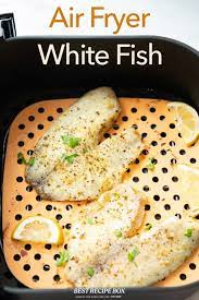 air fryer white fish recipe garlic