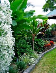 Wynnum Tropical Garden Brisbane