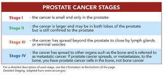 Staging And Grading Zero The End Of Prostate Cancer