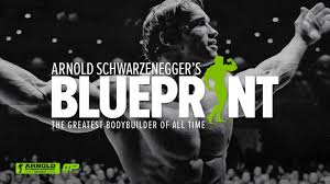 Arnold Schwarzeneggers Blueprint To Mass