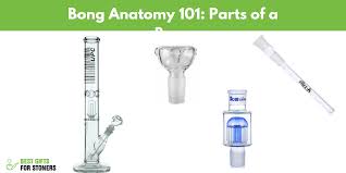 bong anatomy how does a bong work