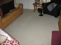 folex carpet spot remover