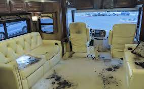 mold in rv walls and get