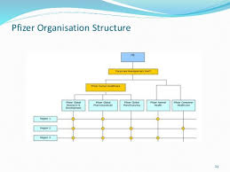 Pfizer Organizational Structure Chart 2019