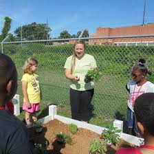Community And Home Gardening Develop
