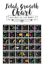 Fetal Growth Chart How Big Is My Baby Fetal Growth Chart