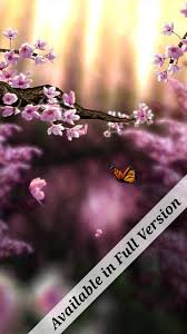 spring zen free live wallpaper