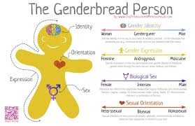 Understanding Gender Identity And Gender Expression Suny