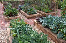 14 Common Raised Bed Mistakes You Must