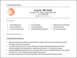 Administrative Assistant CV Template   Tips and Download   CV Plaza Sales CV template page  