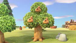 Maybe you would like to learn more about one of these? Money Tree Animal Crossing Wiki Fandom