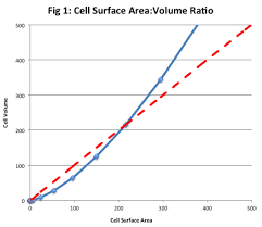 Cell Size Surface Area And Volume