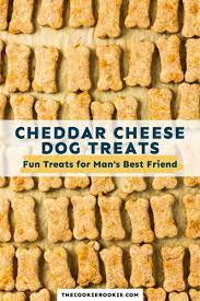 cheese treats for dogs recipe the