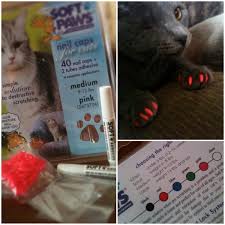 review soft paws nail caps