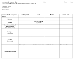 Macromolecule Overview Chart Worksheet Download Printable