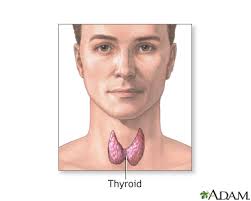 hyperthyroidism overactive thyroid