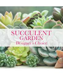 Succulent Garden Custom Design