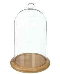 Glass Cloche 4 X 8 Bell Jar Dome