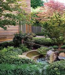 Japanese Garden Pith Vigor