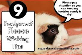 9 foolproof fleece wicking tips you