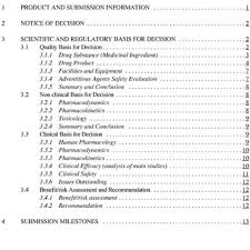Example Of Table Of Contents In A Summary Basis Of Decision Document