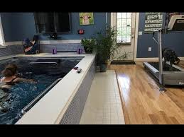 Endless Pool And Her Dog On A Treadmill