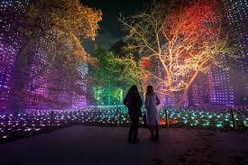 Illuminated Gardens To Visit This