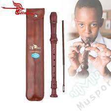 Purely acousticly or as an electric recorder via cable connection. Swan Germany Type 8 Holes Soprano Recorder Flute Woodwind Instruments Reed Pipe G Tune Wood Grain Soprano Recorder Recorder Flutewoodwind Instruments Aliexpress