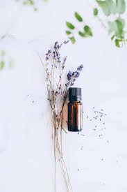 7 ways to use lavender oil in green