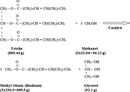 Biodiesel Chemical Reaction Equation
