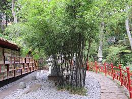 Hd Wallpaper Bamboo Garden Oriental