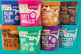 Image result for yasso frozen yogurt