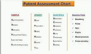 Patient Assessment Chart Paramedic Student Emt Basic