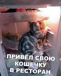 ВСЕ ВИДЫ УСЛУГ В г. Якутске -  #😂#котик#вленту#немногоюмора#шутка#прикол#юмор#позитив#улыбнись#смех#будьнапозитиве#кот#животные#братьяменьшие#ресторан#холодильник  | Facebook