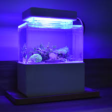 Blue Led Lighting Fish Tank Light Lamp For Mini Plastic Fish Tank Cylinder Dedicated Blue Coral Led Lights Aquarium Accessories Aquariums Tanks Aliexpress