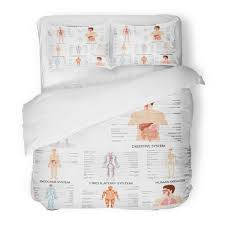 Amazon Com Sanchic Duvet Cover Set Anatomy Of Complete