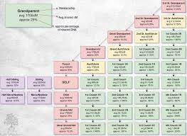 Dna Dna Relationship Vs Cm Chart Brady Family Tree In