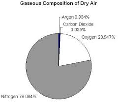 Air Composition Pie Charts A Recipe For Air Activity