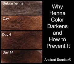 Henna For Hair Learn To Henna Your Hair Infinite Colors