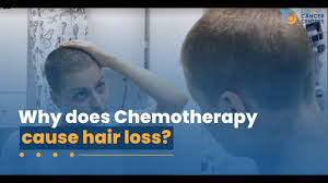 why does chemotherapy cause hair loss