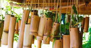 Beauty Of Bamboo Planters