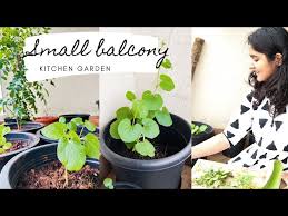 Small Balcony Garden Vegetables You