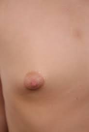 Amateur Tiny Tits Porn Pics & Naked Photos - PornPics.com