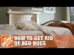 How To Get Rid Of Bed Bugs The Home Depot