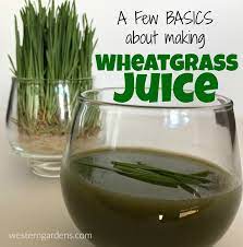 wheatgr juice basics western